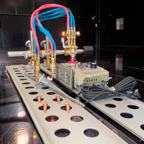 principal de tortuga de doble antorcha 11zon