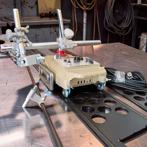 tortuga para plasme 11zon