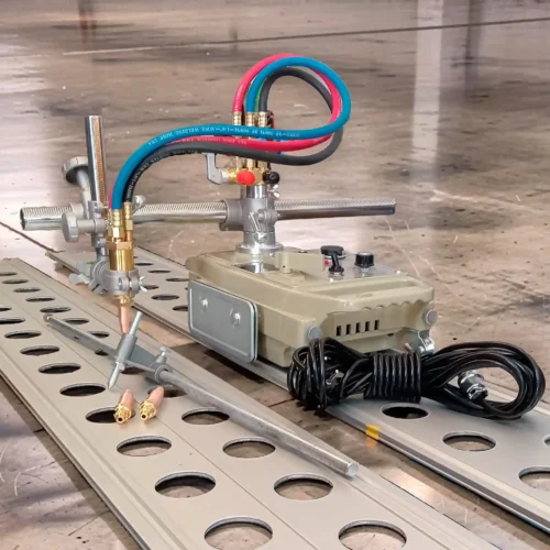 tortuga 1 antorcha 4 11zon